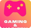 Gaming cover